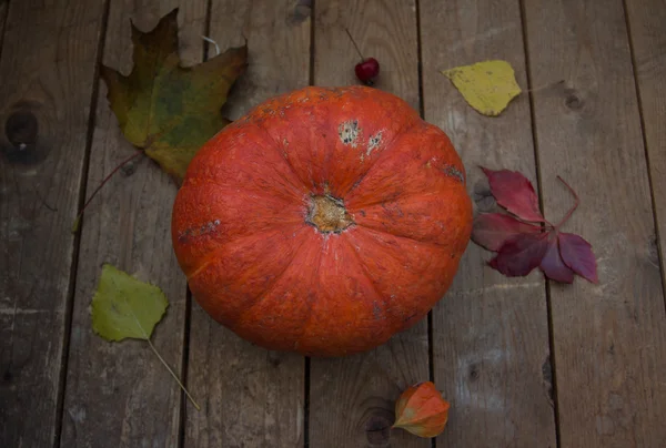 Autumn pumpkin with leaves on wooden board — Stock Photo, Image