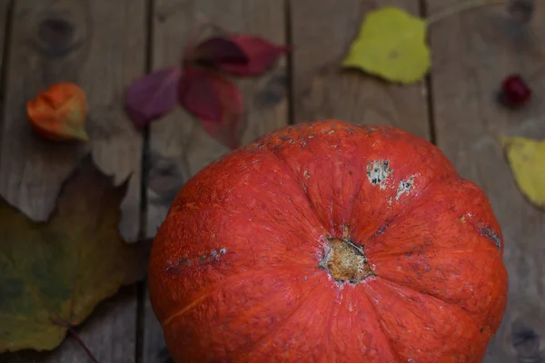 Citrouille d'automne avec feuilles sur planche de bois — Photo