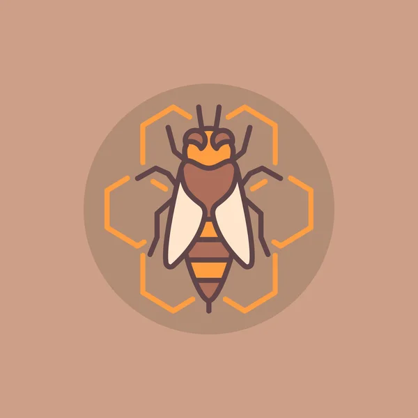 Icono plano de abeja y panal — Archivo Imágenes Vectoriales