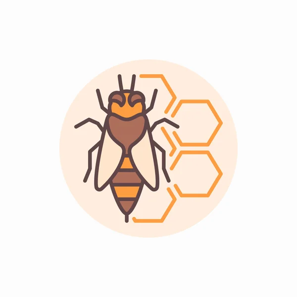 Bee with honeycomb flat icon — Stock Vector