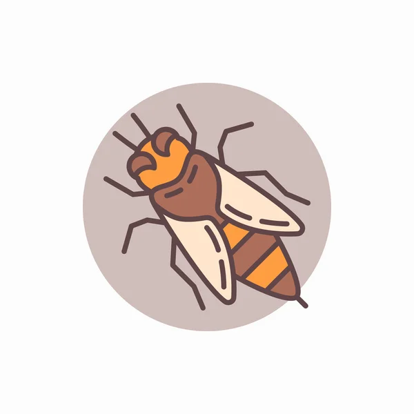 Honey bee flat icon — Stock Vector