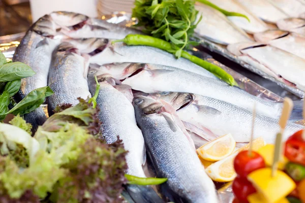 Fresh sea bass on display — Stock Photo, Image