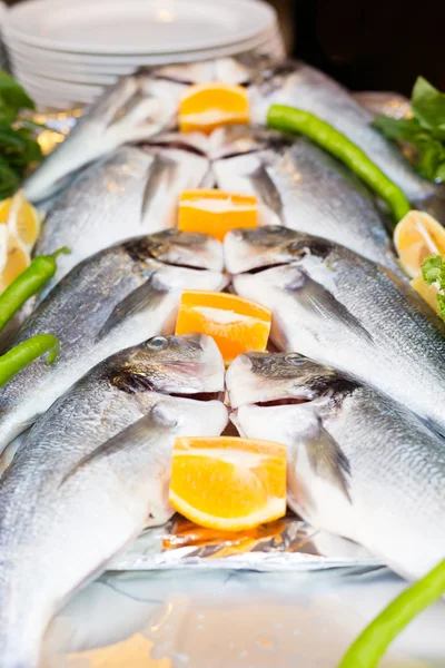 Fresh sea bass on display — Stock Photo, Image