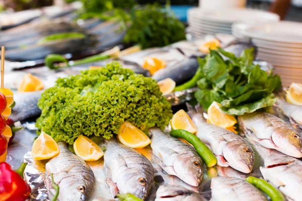 Fresh sea bass on display — Stock Photo, Image