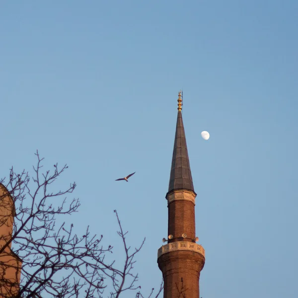 Hagia Sofia minaret — Stock Fotó