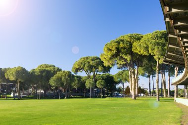 Bir golf sahasında golf sahasına