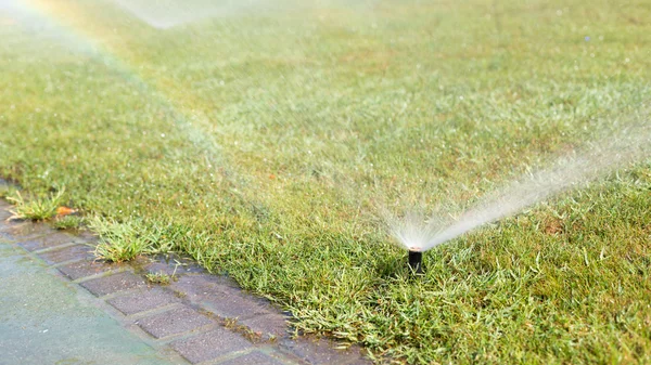 Aspersor al aire libre que trabaja en un césped de hierba verde — Foto de Stock