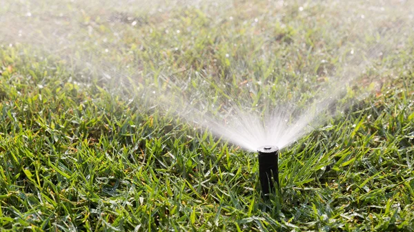 Kültéri sprinkler dolgozik egy zöld fű pázsit — Stock Fotó