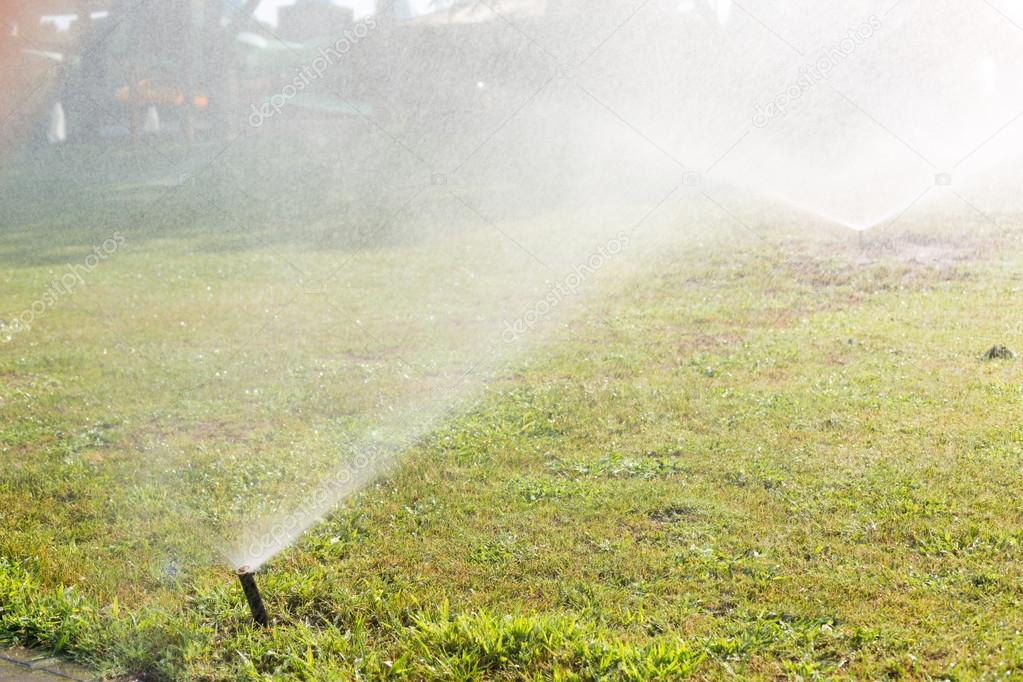 Outdoor sprinkler working on a green grass lawn