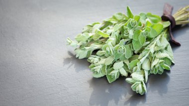 Karanlık bir taş zemin üzerine taze kekik