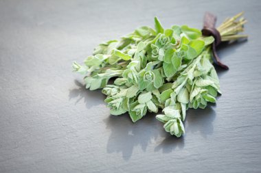 Karanlık bir taş zemin üzerine taze kekik