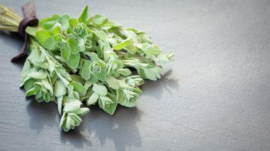 Karanlık bir taş zemin üzerine taze kekik