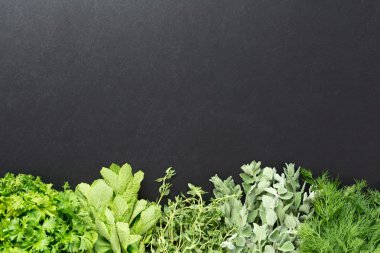 Arka plan taze otlar ile