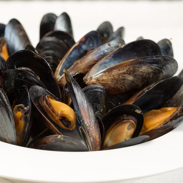 Italian cuisine. Mussels — Stock Photo, Image