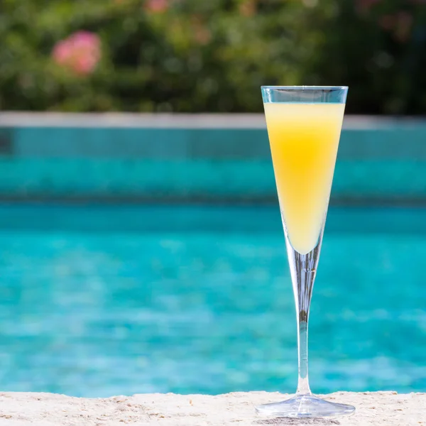 Glass of Mimosa — Stock Photo, Image