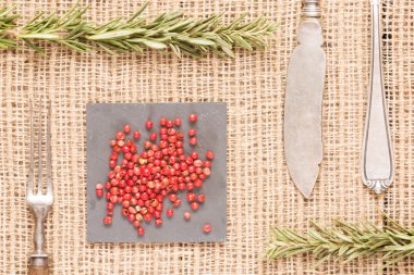 Kırmızı biber biberiye, antika çatal, kaşık ile karanlık plakalar üzerinde bir