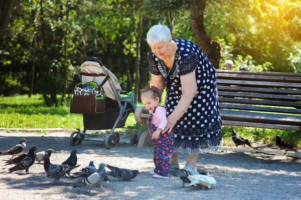 Бабушка и внучка прогуливаются по парку — стоковое фото