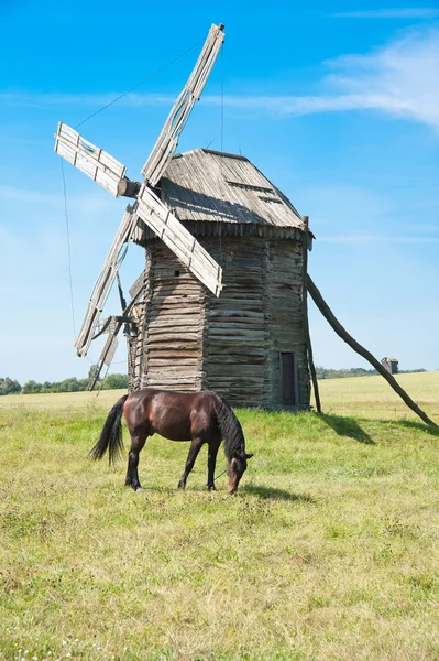 Uno storico mulino a vento in un paesaggio ucraino con cavallo — Foto Stock