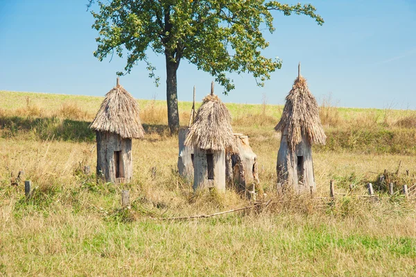 Ancient apiary with wooden bee hives with tree on backgruond — Stock Photo, Image