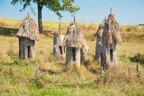 Ancient apiary with wooden bee hives Stock Picture