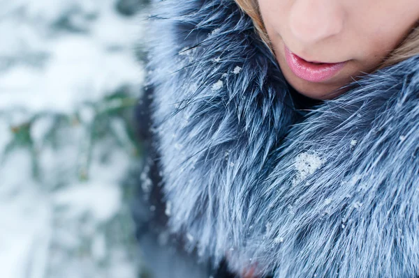 唇の毛皮の雪 — ストック写真