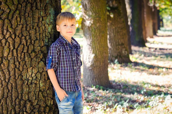 Elegante ragazzo carino in posa vicino a un albero — Foto Stock