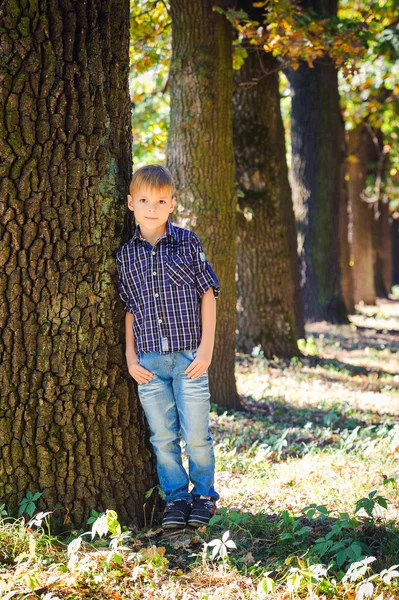 Elegante ragazzo carino in posa vicino a un albero — Foto Stock