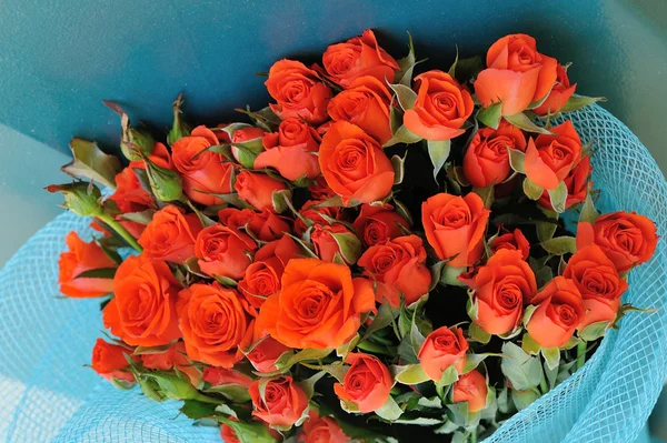 Bouquet of orange roses — Stock Photo, Image