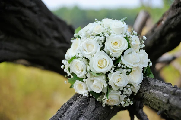 Hochzeitsstrauß weiße Rosen — Stockfoto