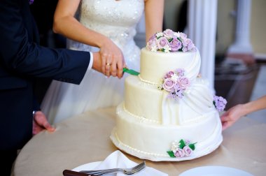 Bride and Groom at Wedding Reception Cutting the Wedding Cake clipart