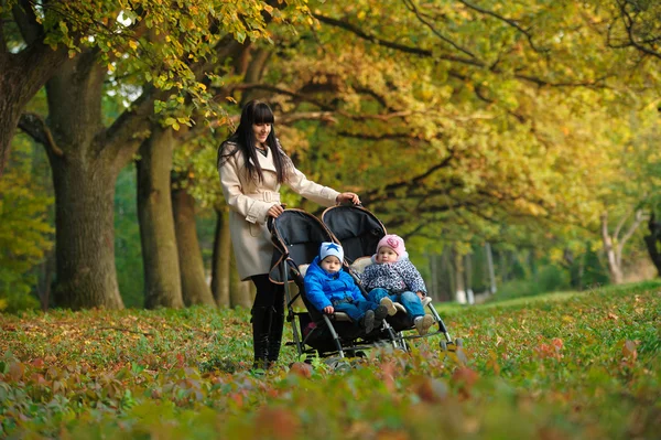 秋の公園で散歩に子供の双子を持つ母 — ストック写真