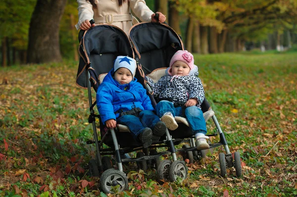 Twins on a walk in the autumn park — Stock Photo, Image