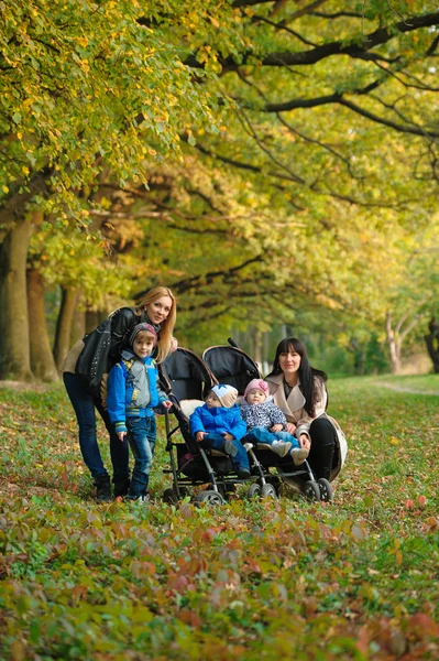 Madres con niños gemelos en un paseo por el parque de otoño — Foto de Stock