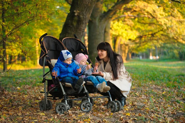 Mother with children twins on a walk in the autumn park — Stock Photo, Image