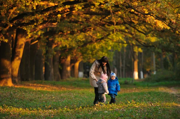 Matka z bliźniakami dzieci na spacer w parku jesień — Zdjęcie stockowe