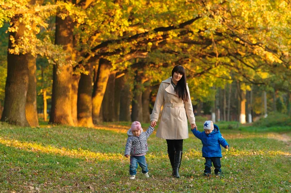 Madre con niños gemelos en un paseo por el parque de otoño — Foto de Stock