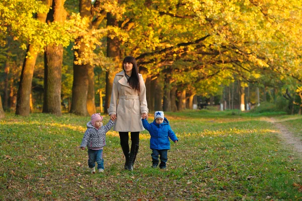 Madre con niños gemelos en un paseo por el parque de otoño — Foto de Stock