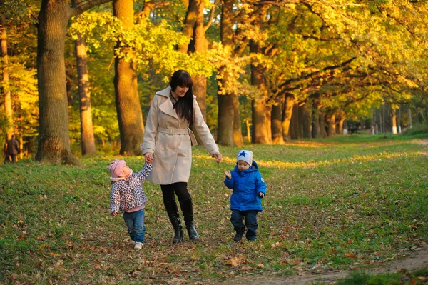 秋の公園で散歩に子供の双子を持つ母 — ストック写真