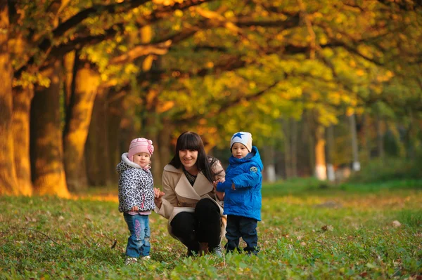 Mother with children twins on a walk in the autumn park — Stock Photo, Image