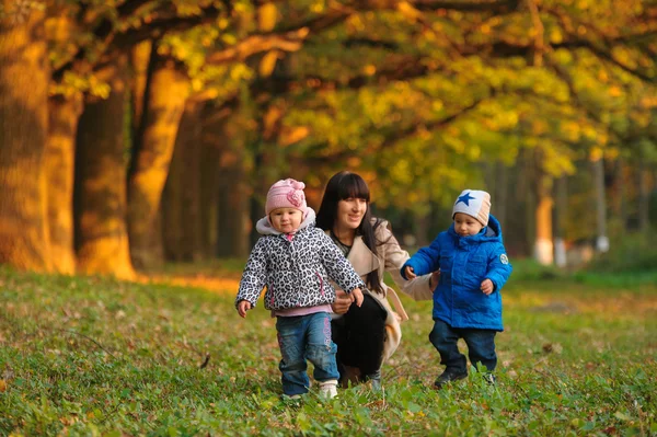 Madre con niños gemelos en un paseo por el parque de otoño — Foto de Stock