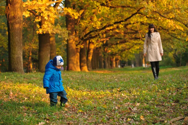 Anne ile çocuk sonbahar parkta bir yürüyüş üzerinde