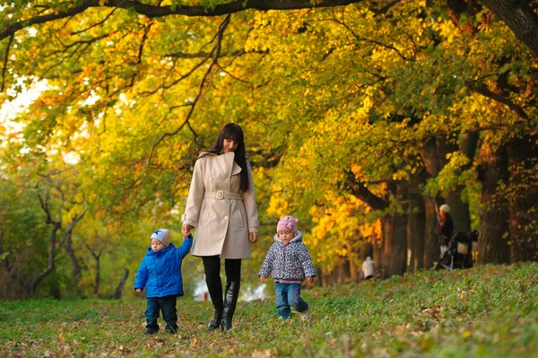 Madre con niños gemelos en un paseo por el parque de otoño — Foto de Stock