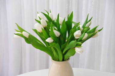 Masada Vazoda beyaz taze laleler