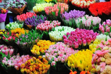 Colorful tulips on sale in flower market clipart
