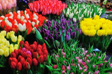 Colorful tulips on sale in flower market clipart