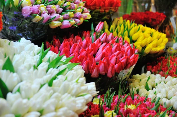 Цветные тюльпаны в продаже на цветочном рынке — стоковое фото
