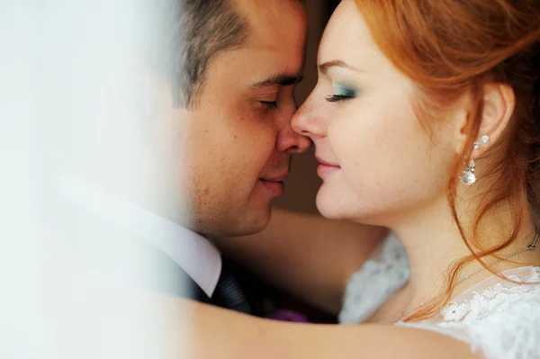 Portrait of the bride and groom close — Stock Photo, Image