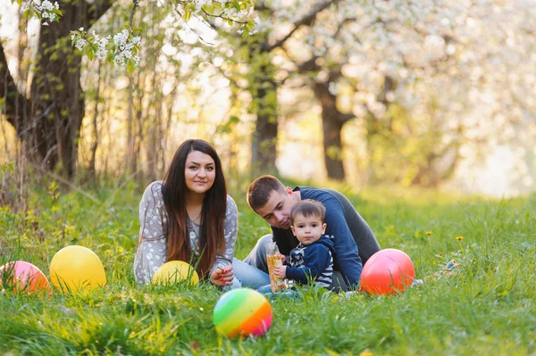 Giovane famiglia con figlio in giardino — Foto Stock