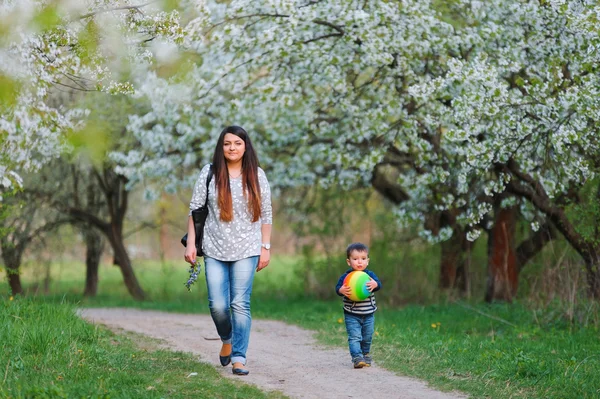 Mother and son walking along the blossoming spring garden — Stock Photo, Image