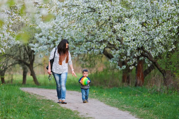 Madre e hijo caminando a lo largo del floreciente jardín de primavera — Foto de Stock